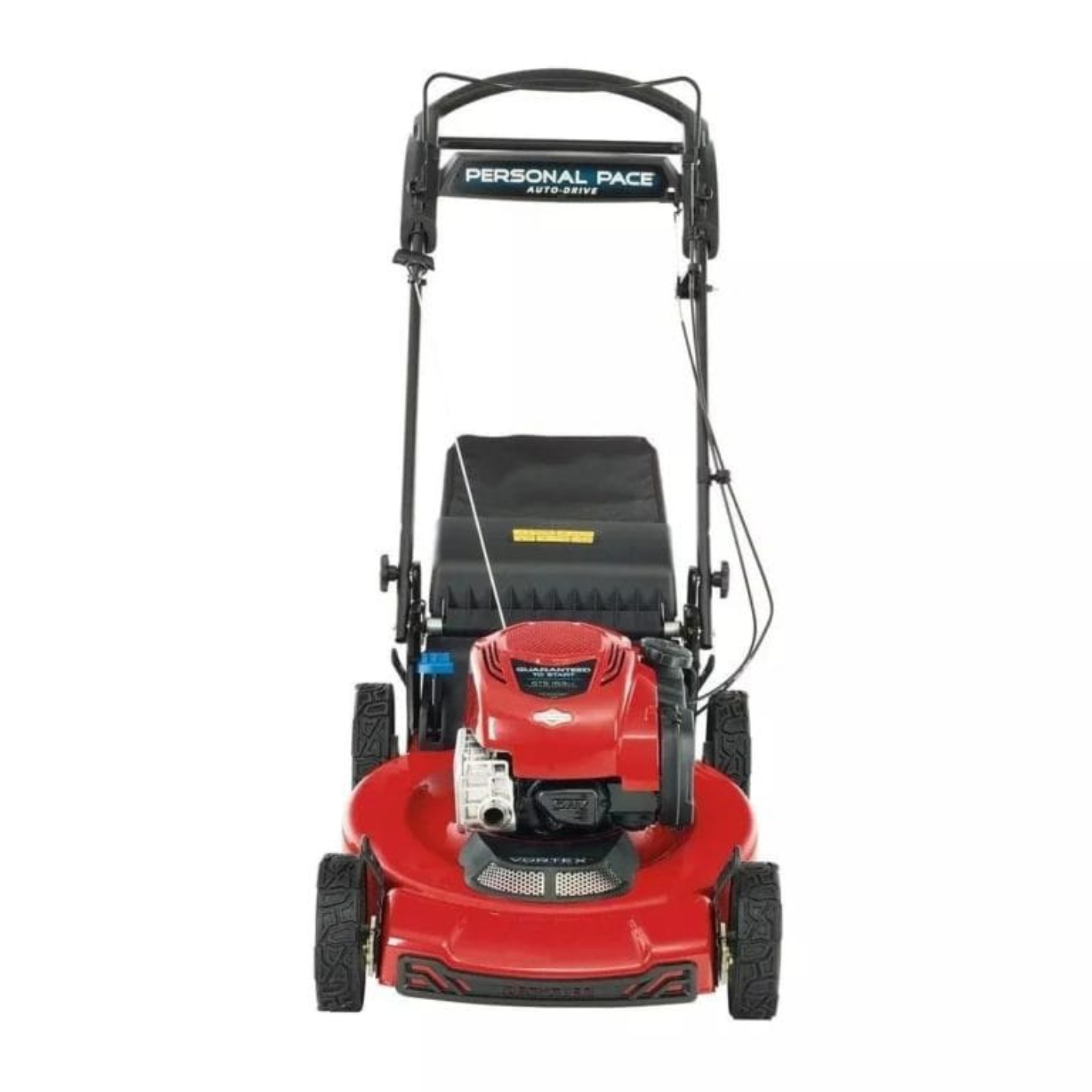 Recycler 22 in Briggs And Stratton Personal Pace Rear Wheel Drive