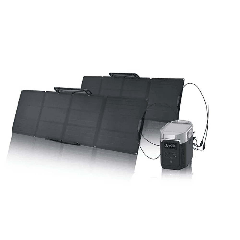 EcoFlow DELTA 2 950 with 2pcs 110W Solar Panel