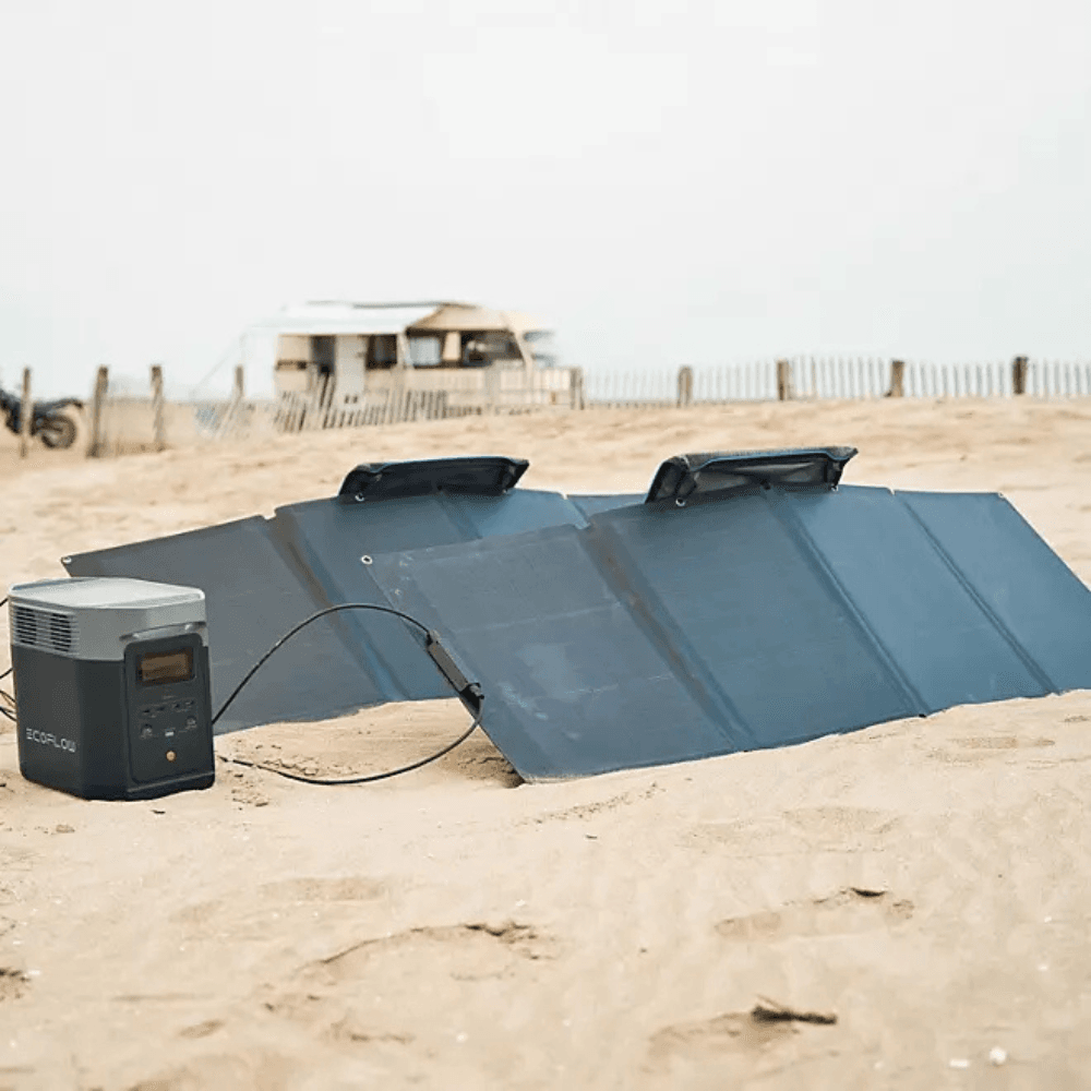 EcoFlow DELTA 2 950 with 2pcs 110W Solar Panel