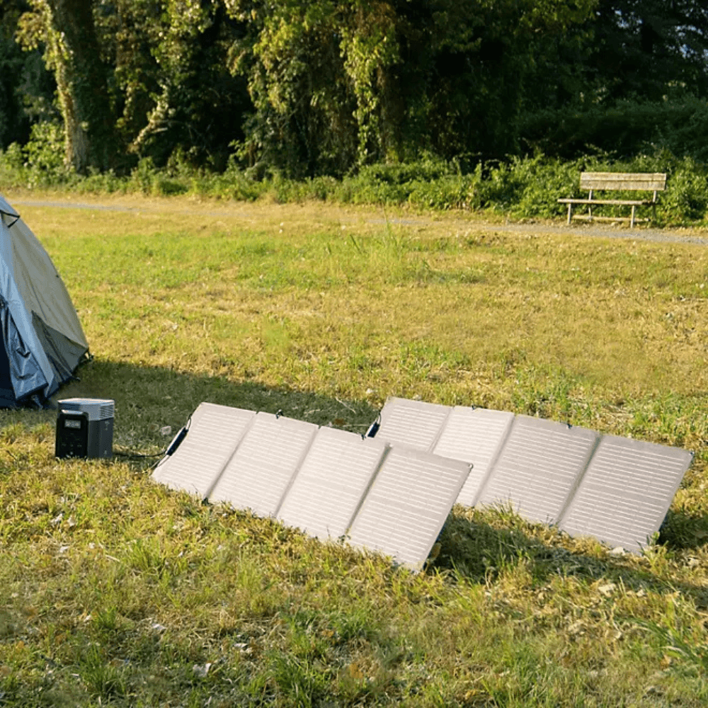 EcoFlow DELTA 2 950 with 2pcs 110W Solar Panel