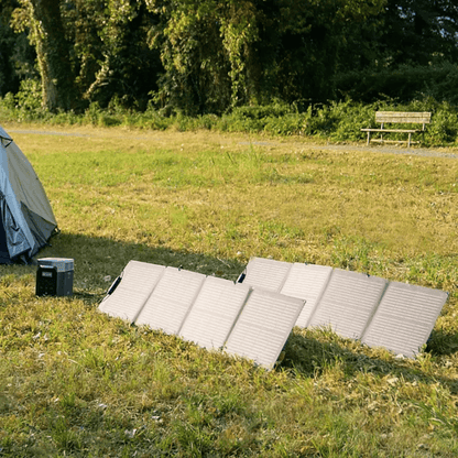 EcoFlow DELTA 2 950 with 2pcs 110W Solar Panel